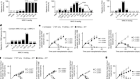 Neoantigen-specific cytotoxic Tr1 CD4 T cells suppress cancer immunotherapy