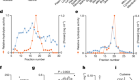 PTER is a N-acetyltaurine hydrolase that regulates feeding and obesity