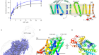 Substrate binding and inhibition mechanism of norepinephrine transporter