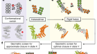 De novo design of allosterically switchable protein assemblies