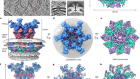 Molecular architecture of coronavirus double-membrane vesicle pore complex