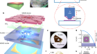 On-chip multi-degree-of-freedom control of two-dimensional materials