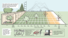 Continuously fluctuating selection reveals fine granularity of adaptation