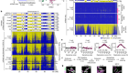 Embryonic genome instability upon DNA replication timing program emergence