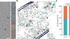 Visualizing chaperonin function in situ by cryo-electron tomography