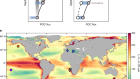 Decoding drivers of carbon flux attenuation in the oceanic biological pump