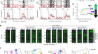 Prefrontal and lateral entorhinal neurons co-dependently learn item–outcome rules