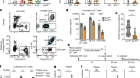 A γδ T cell–IL-3 axis controls allergic responses through sensory neurons