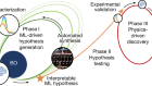 Closed-loop transfer enables artificial intelligence to yield chemical knowledge