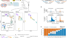 DNA methylation controls stemness of astrocytes in health and ischaemia