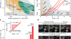 A polymer-like ultrahigh-strength metal alloy