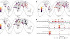 Recurrent evolution and selection shape structural diversity at the amylase locus