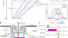 Cooling positronium to ultralow velocities with a chirped laser pulse train