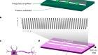 Axon-like active signal transmission