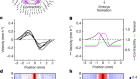 Self-organized tissue mechanics underlie embryonic regulation