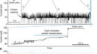 Multi-pass, single-molecule nanopore reading of long protein strands