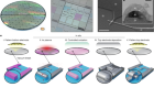 Advanced CMOS manufacturing of superconducting qubits on 300 mm wafers