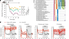 Commensal consortia decolonize Enterobacteriaceae via ecological control