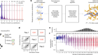 The genetic architecture of protein stability