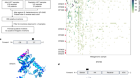 Intragenic DNA inversions expand bacterial coding capacity