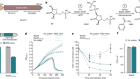 Phages reconstitute NAD+ to counter bacterial immunity