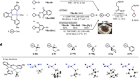 Reductive alkyl–alkyl coupling from isolable nickel–alkyl complexes