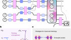 Universal quantum operations and ancilla-based read-out for tweezer clocks