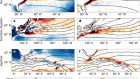 Signature of the western boundary currents in local climate variability