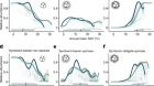 Past foraminiferal acclimatization capacity is limited during future warming