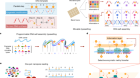 Parallel molecular data storage by printing epigenetic bits on DNA