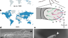 Mosquito taste responses to human and floral cues guide biting and feeding