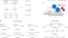 Soft–hard zwitterionic additives for aqueous halide flow batteries