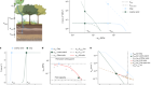 Global influence of soil texture on ecosystem water limitation