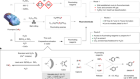 Fluorspar to fluorochemicals upon low-temperature activation in water