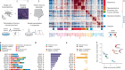 Progressive plasticity during colorectal cancer metastasis