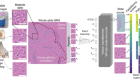 Foundation models for fast, label-free detection of glioma infiltration