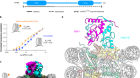 Read–write mechanisms of H2A ubiquitination by Polycomb repressive complex 1