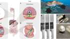 Cephalopod-inspired jetting devices for gastrointestinal drug delivery