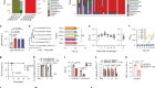 Fungal symbiont transmitted by free-living mice promotes type 2 immunity