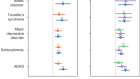 Examining the role of common variants in rare neurodevelopmental conditions