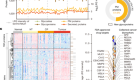 Clinical functional proteomics of intercellular signalling in pancreatic cancer