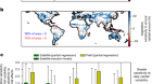 Large global-scale vegetation sensitivity to daily rainfall variability