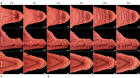 Self-organized patterning of crocodile head scales by compressive folding