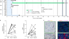 Neutralizing GDF-15 can overcome anti-PD-1 and anti-PD-L1 resistance in solid tumours