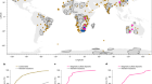 Sulfide-rich continental roots at cratonic margins formed by carbonated melts