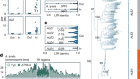 Centrophilic retrotransposon integration via CENH3 chromatin in Arabidopsis