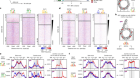 Nucleosome fibre topology guides transcription factor binding to enhancers