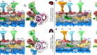 Structural diversity of axonemes across mammalian motile cilia