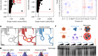 Hierarchical design of pseudosymmetric protein nanocages