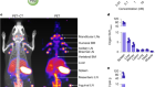 CD45-PET is a robust, non-invasive tool for imaging inflammation